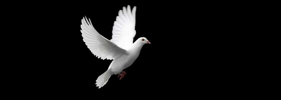 The Holy Spirit and You – Pentecost